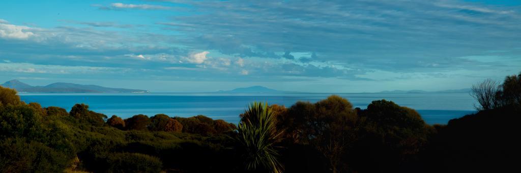 Eagle Peaks At Freycinet Appartement Coles Bay Buitenkant foto